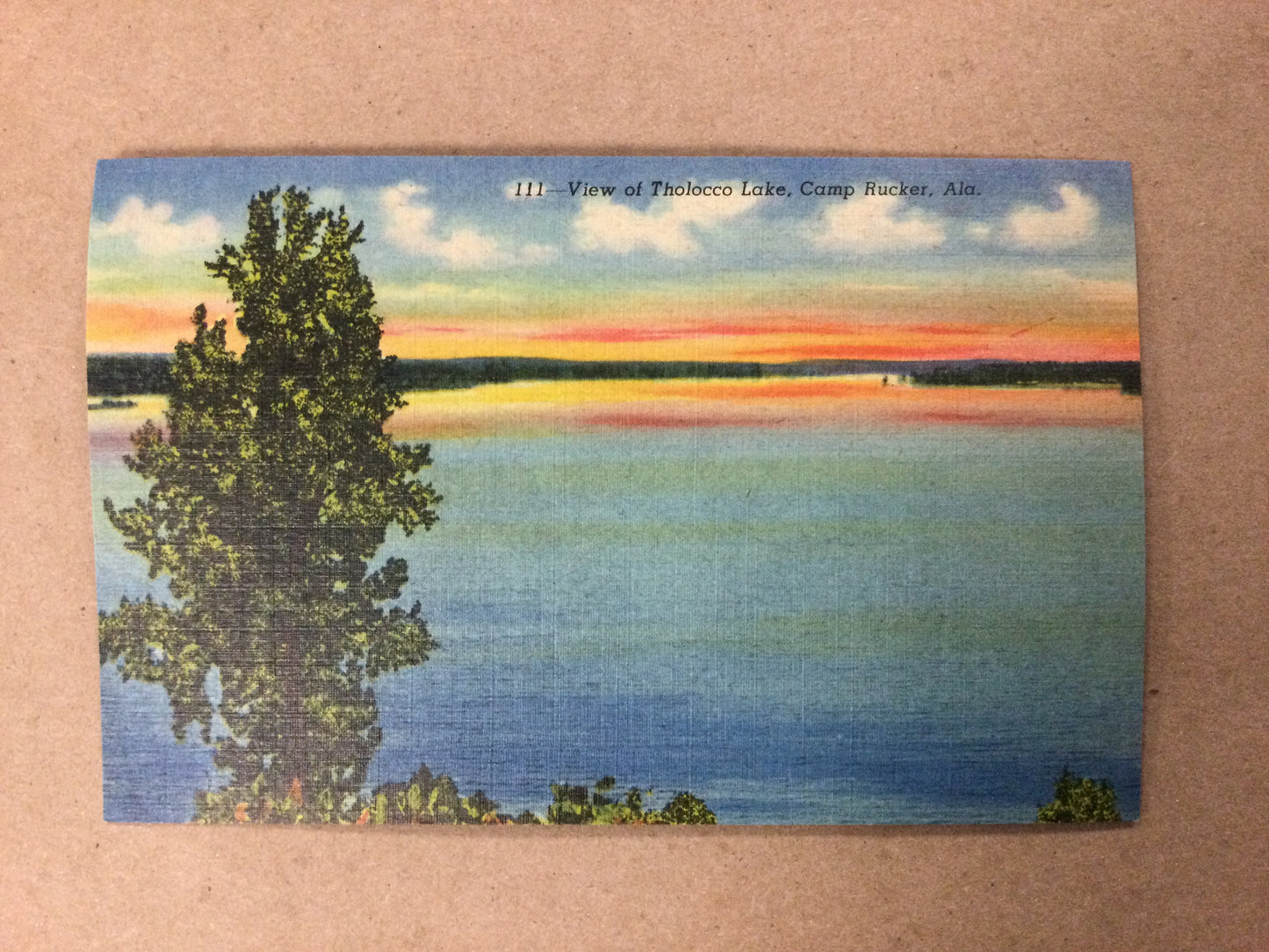 VINTAGE - Post Card - View of Tholocco Lake, Camp Rucker, Ala.