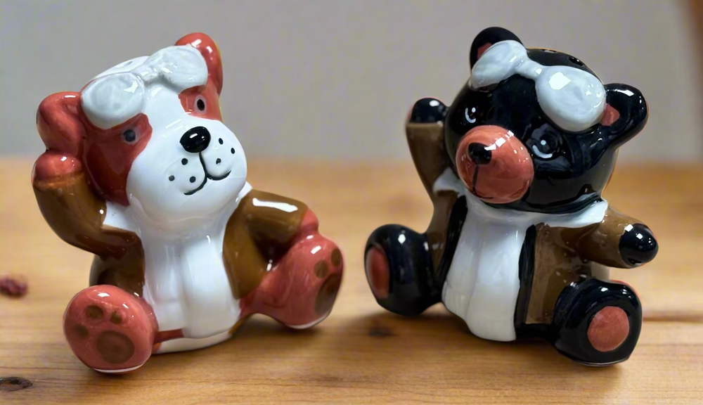 Salt & Pepper Shaker Set