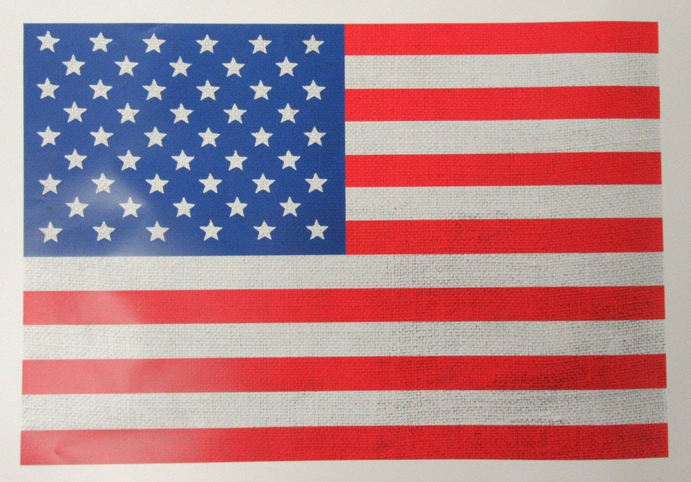 American Flag Print