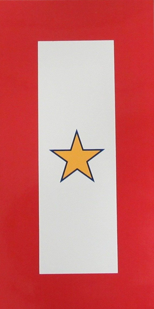 Gold Star Decal