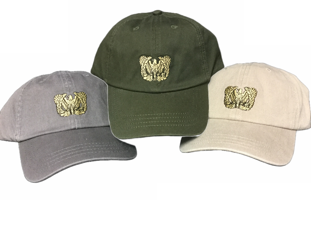 Warrant Officer Insignia Hat