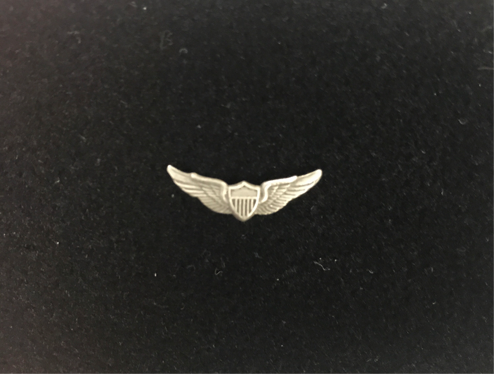 Basic Aviator Wing Lapel Pin (Pewter)