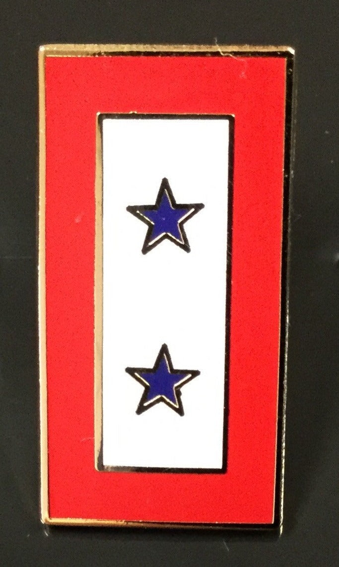 2 Blue Star Service Pin